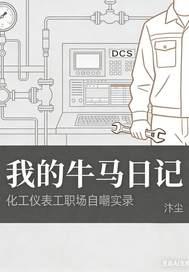 我的牛马日记化工自嘲实录